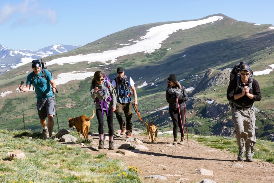 Dogs and people hiking