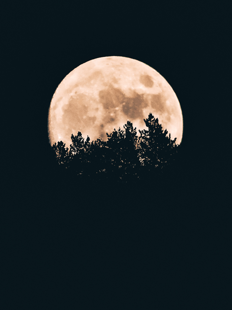 full moon photobooth background with trees on horizon