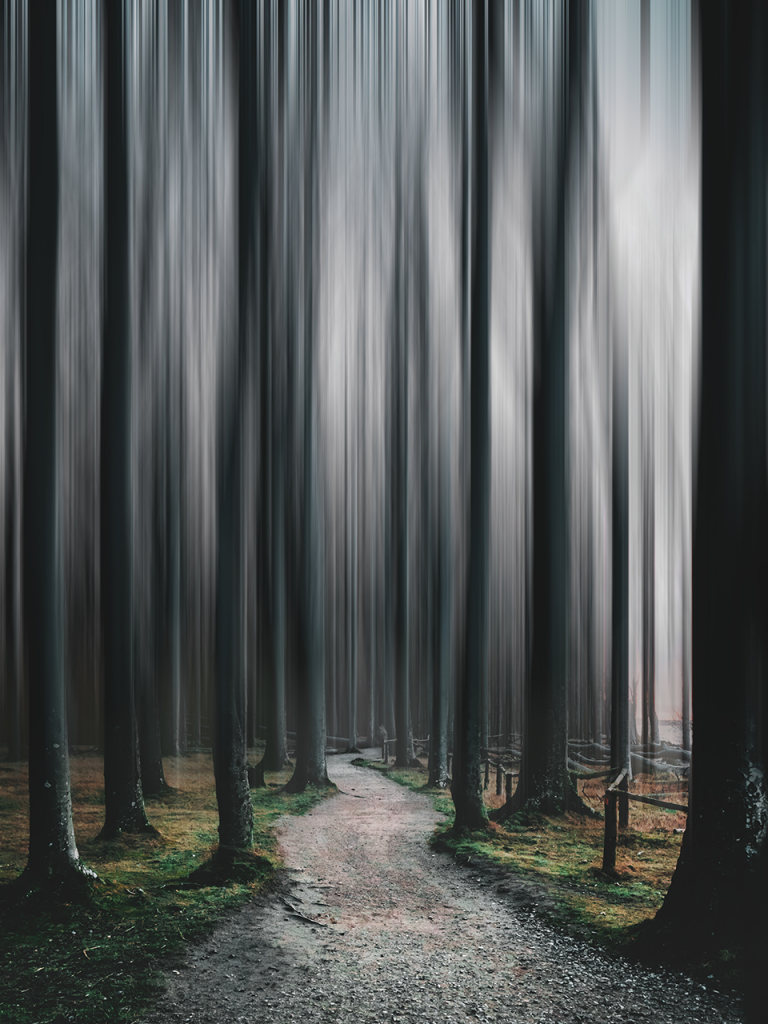 motion blur tall trees in forest for halloween photo booth background