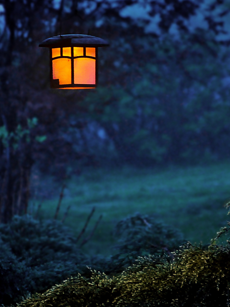 eerie gas lantern hanging in foggy woods for green screen photo booth background