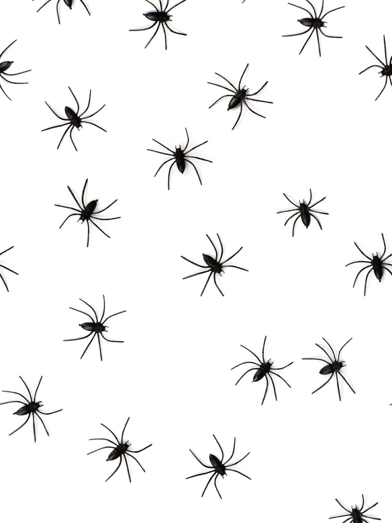 array of black spiders crawling across white photo booth background