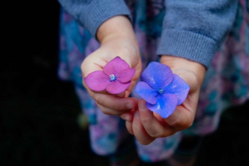 child holding two flowers on nature walk